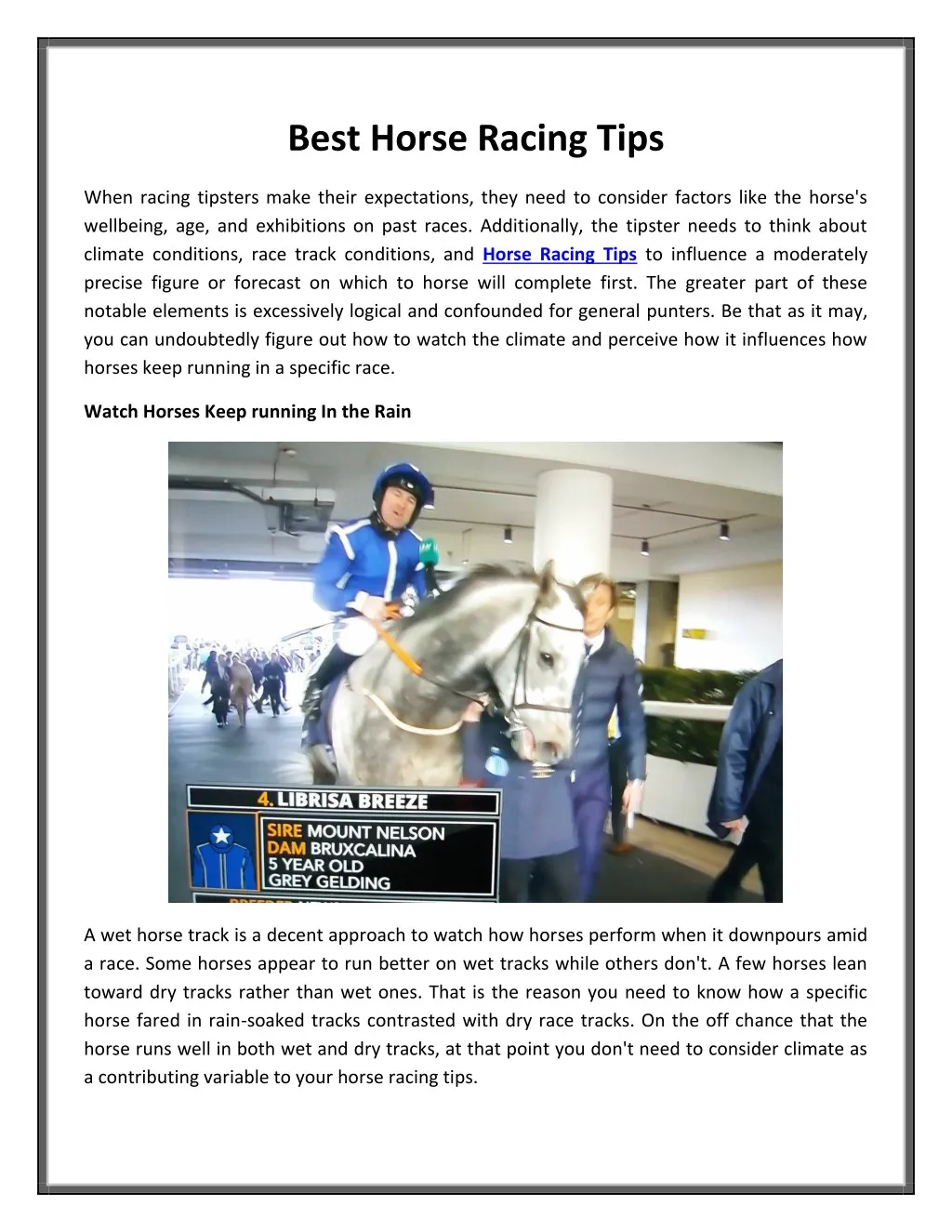 best horse racing tips