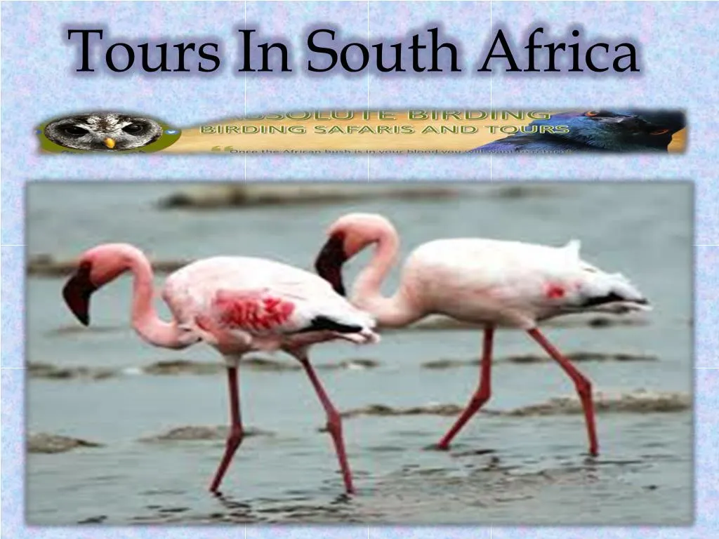 tours in south africa