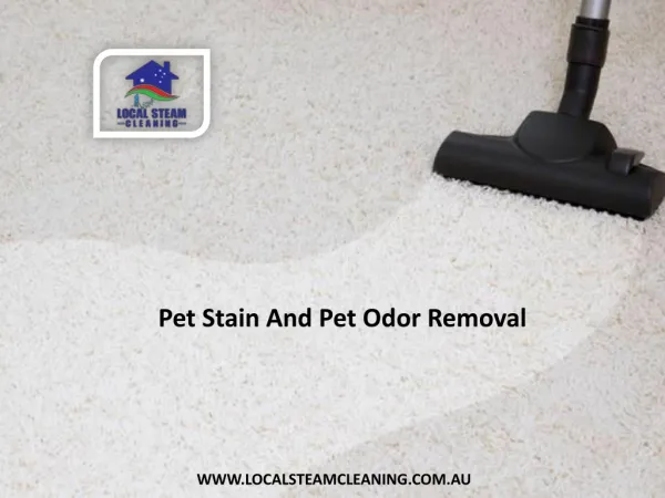 Pet Stain and Pet Odor Removal