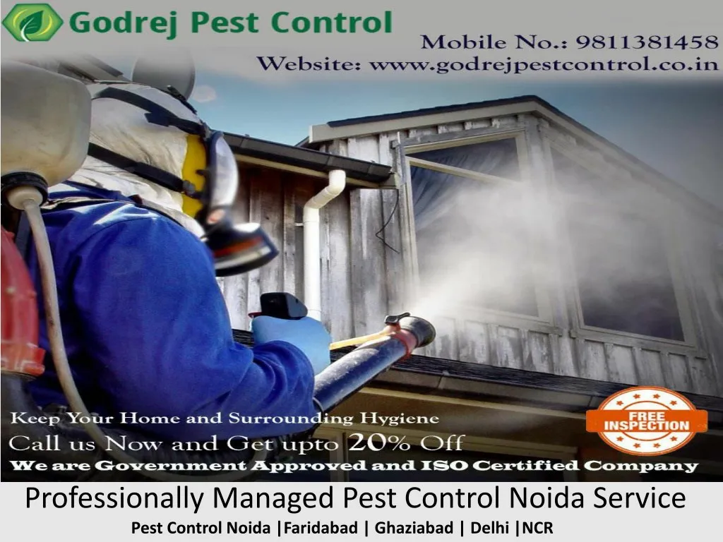 professionally managed pest control noida service