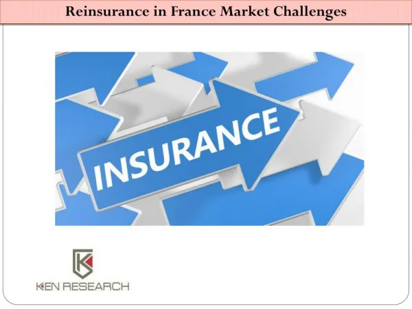 Reinsurance in France Market Research Report