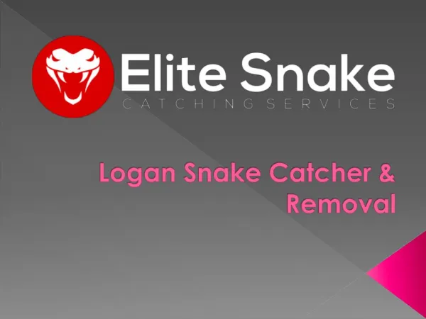 Snake removal logan