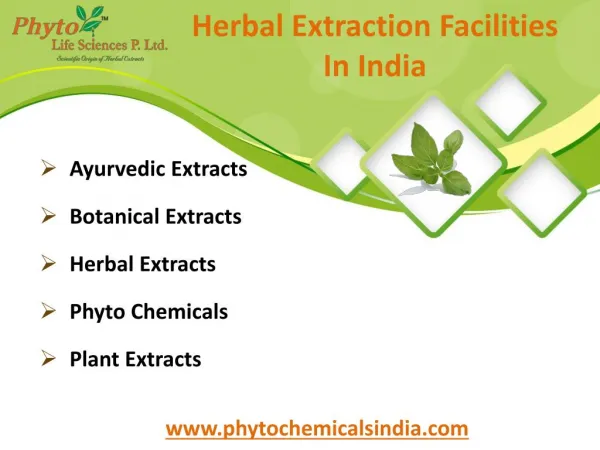 Phyto Chemicals - Herbal Extraction, Phyto Extracts Manufacturer in India