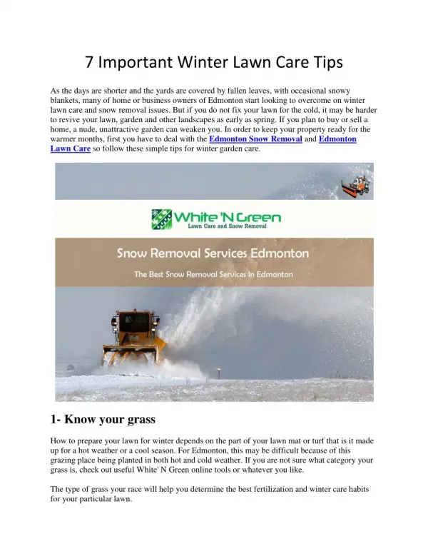 7 Important Winter Lawn Care Tips