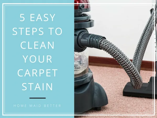 5 Easy Steps to Clean Your Carpet Stain
