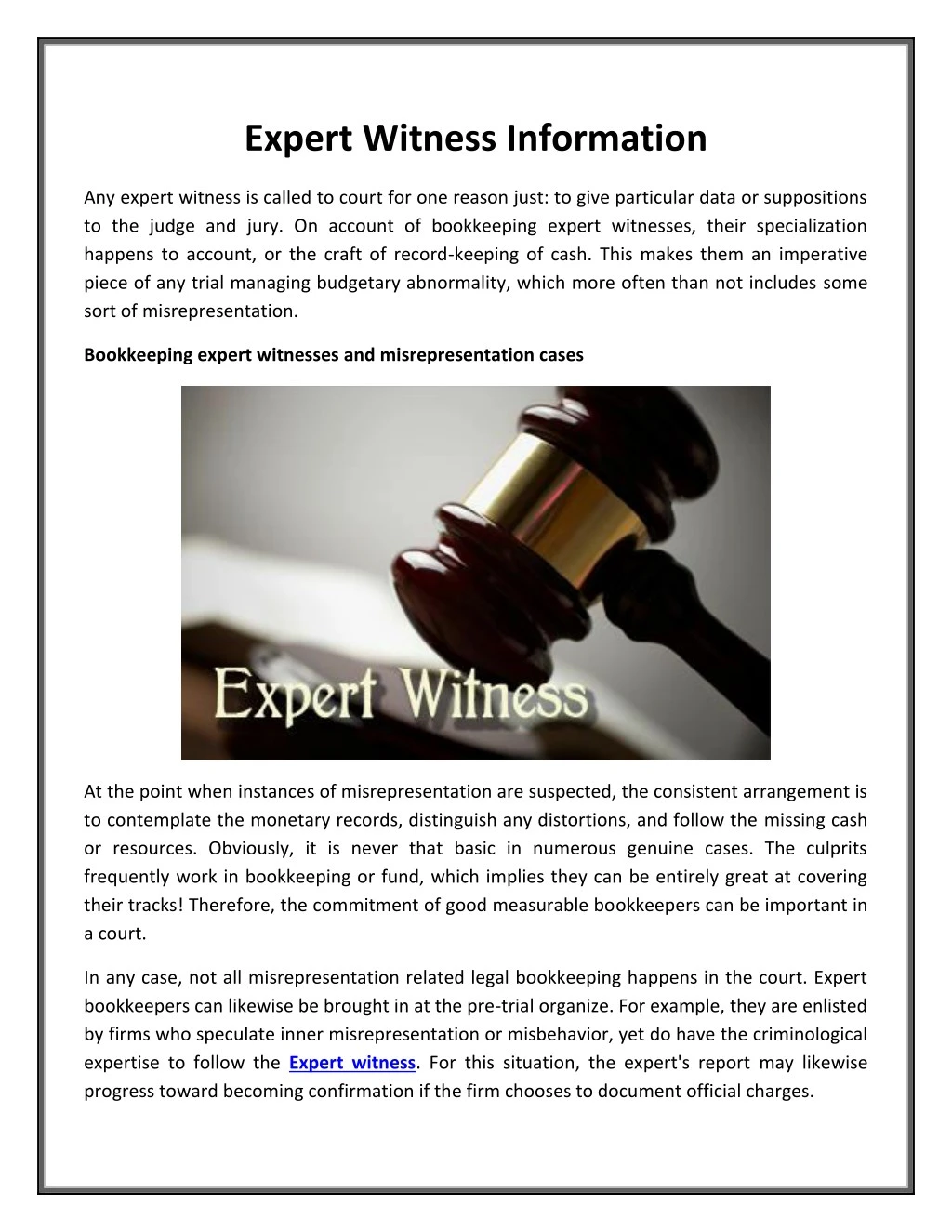 expert witness information
