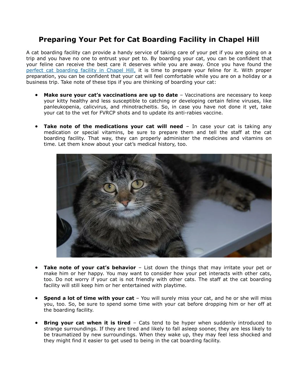 preparing your pet for cat boarding facility