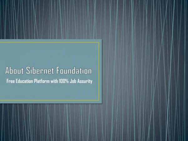 About Sibernet Group Foundation in India