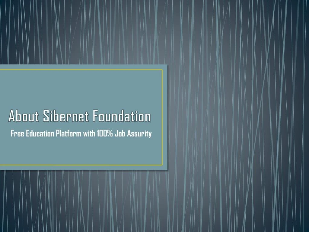 about sibernet foundation
