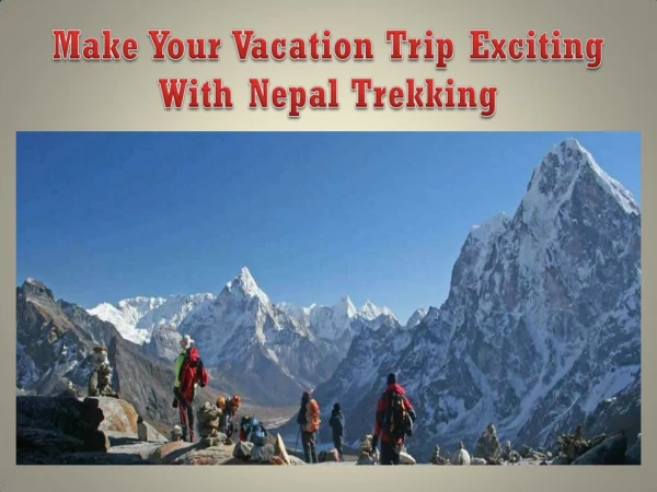 Make Your Vacation Trip Exciting With Nepal Trekking