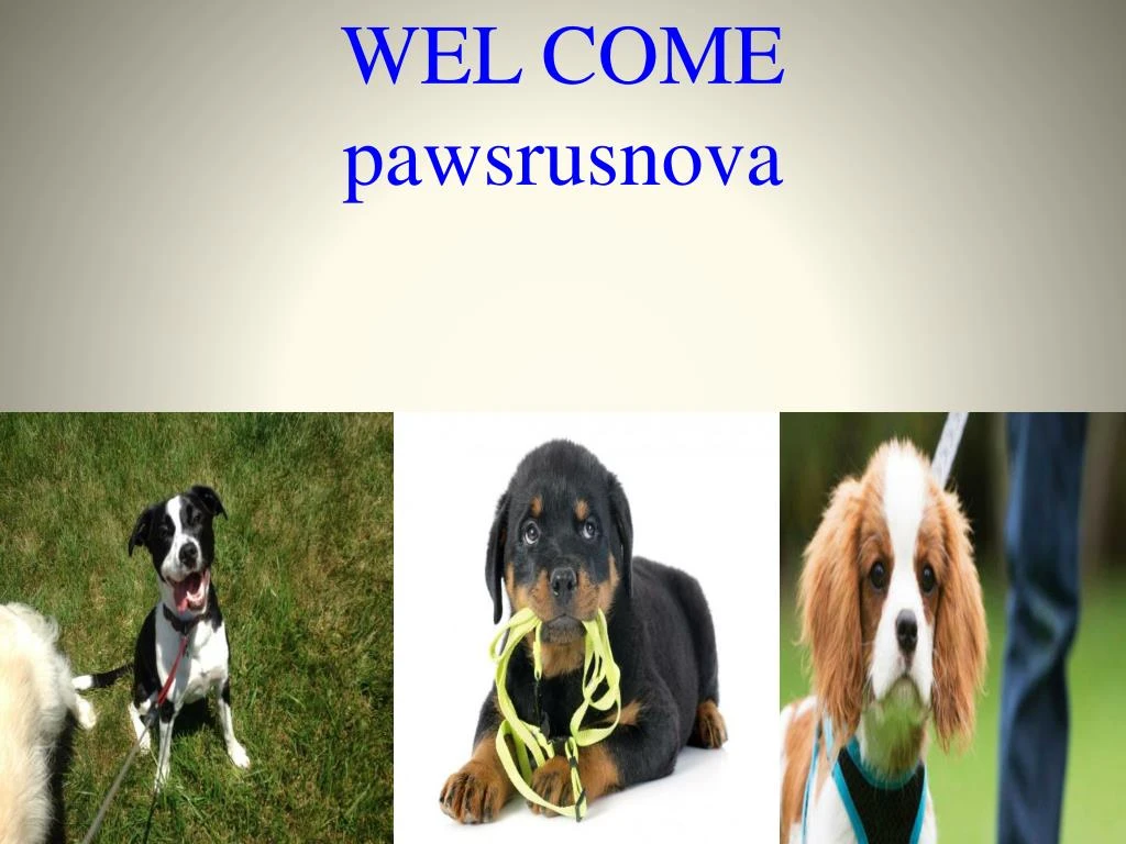 wel come pawsrusnova