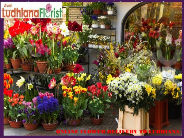 Online Flowers Delivery in Ludhiana