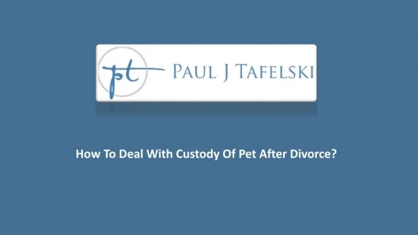 How To Deal With Custody Of Pet After Divorce?