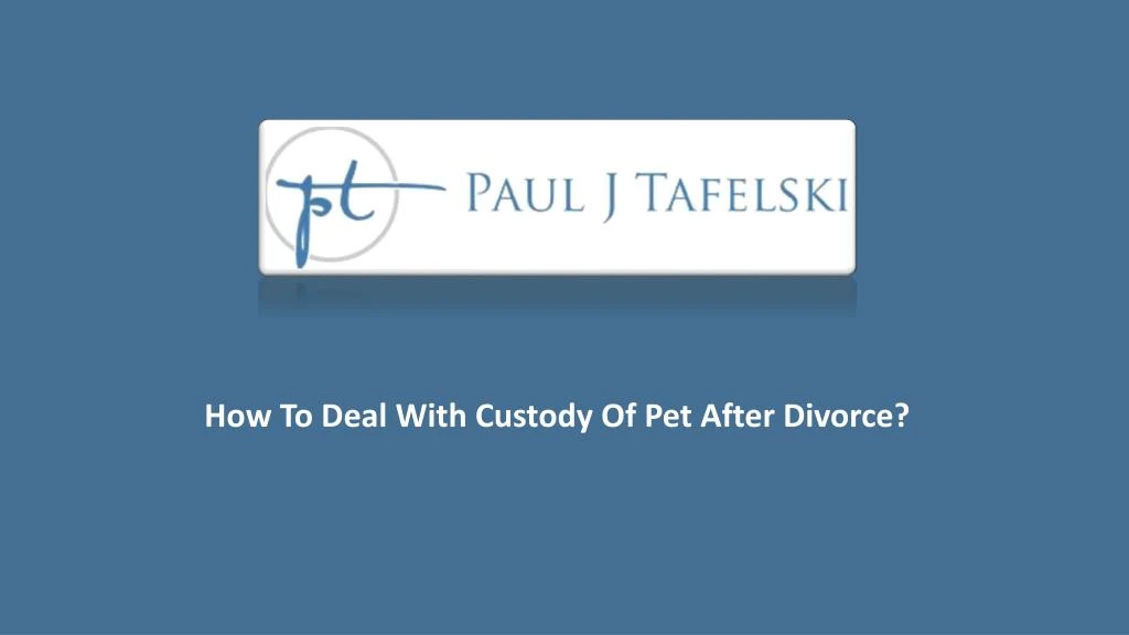 how to deal with custody of pet after divorce