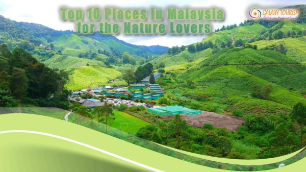 Top 10 Places in Malaysia for the Nature Lovers