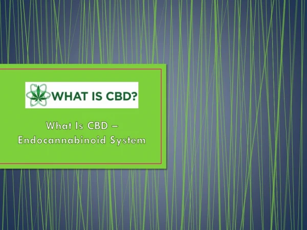 What Is CBD – Endocannabinoid System