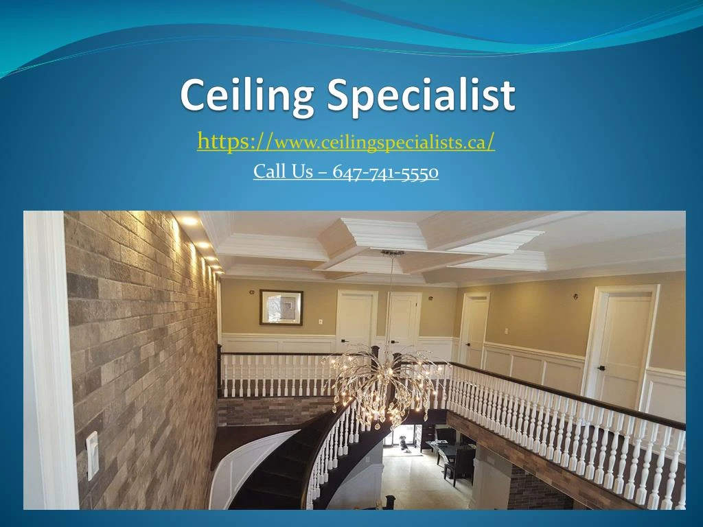 ceiling specialist