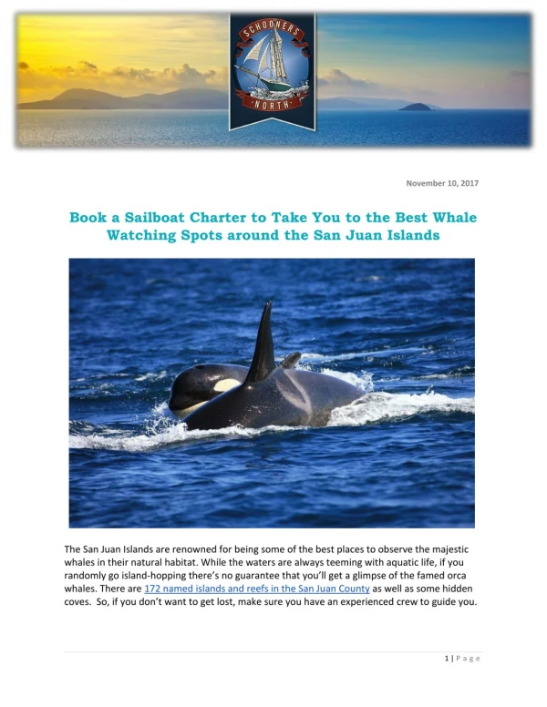Book a Sailboat Charter to Take You to the Best Whale Watching Spots around the San Juan Islands