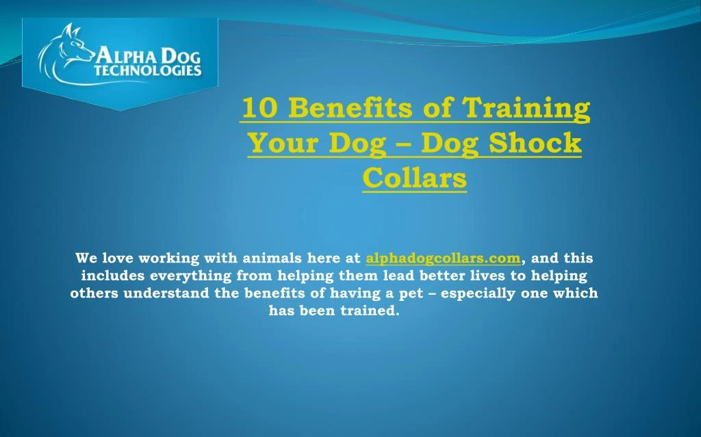 10 benefits of training your dog dog shock collars