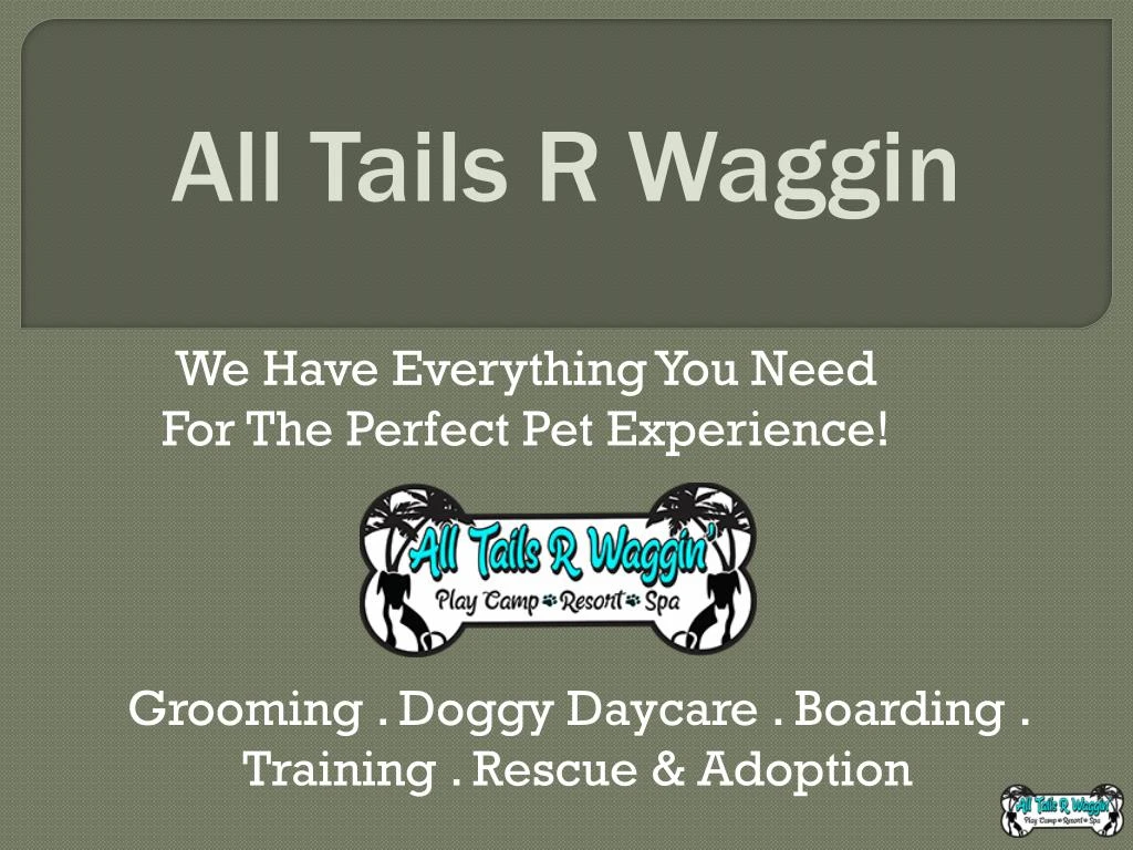 we have everything y ou n eed for the perfect pet experience