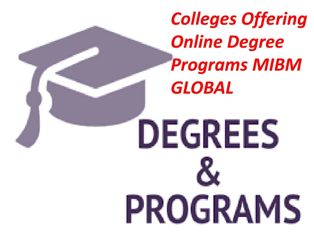 colleges offering online degree programs mibm