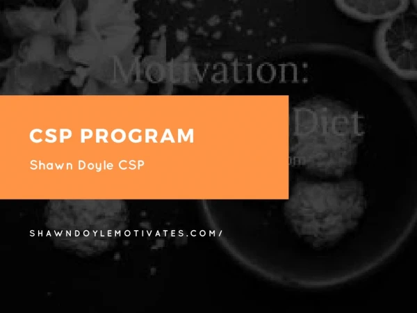 csp program