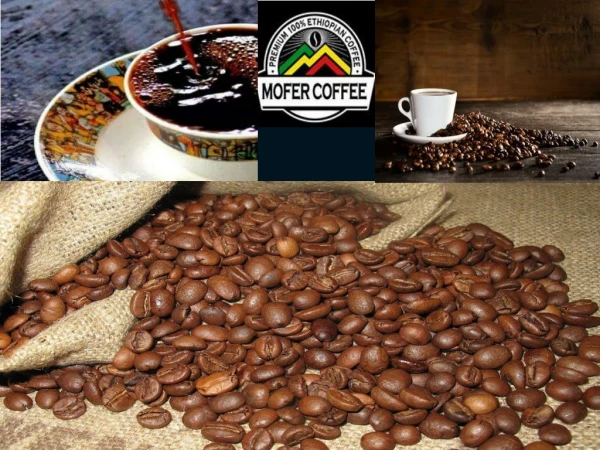 Ethiopian Bean Coffee for Sale