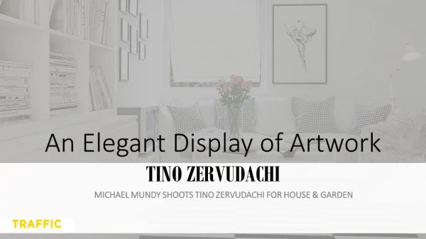 An Elegant Display of Artwork Tino Zervudachi