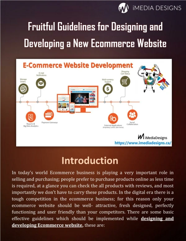 Fruitful Guidelines for Designing and Developing a New Ecommerce Website