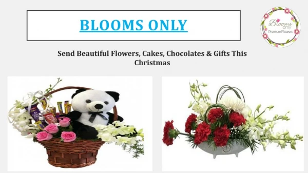 Order Beautiful Flowers, Cakes, Chocolates & Gifts This Christmas in Pune – Blooms Only