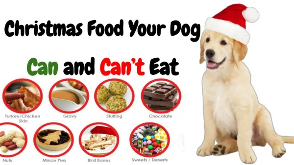 Christmas Food Your Dog Can and Can't Eat