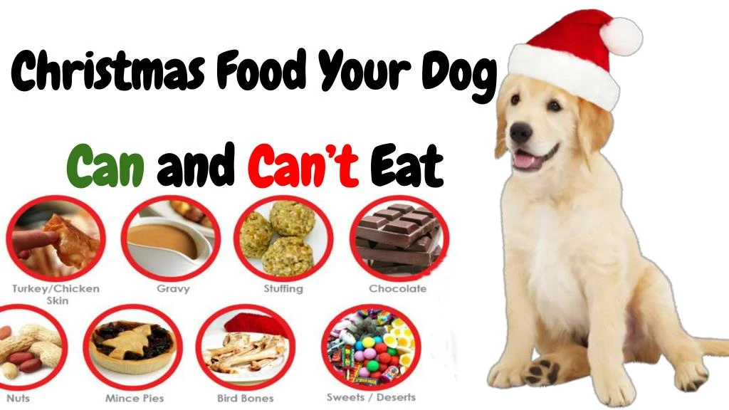 christmas food your dog can and can t eat