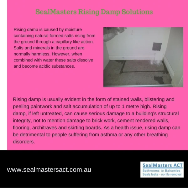 SealMasters Rising Damp Solutions