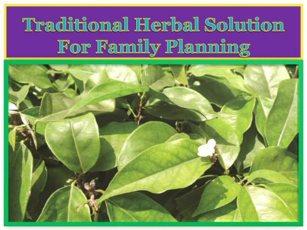 Traditional Herbal Solution For Family Planning