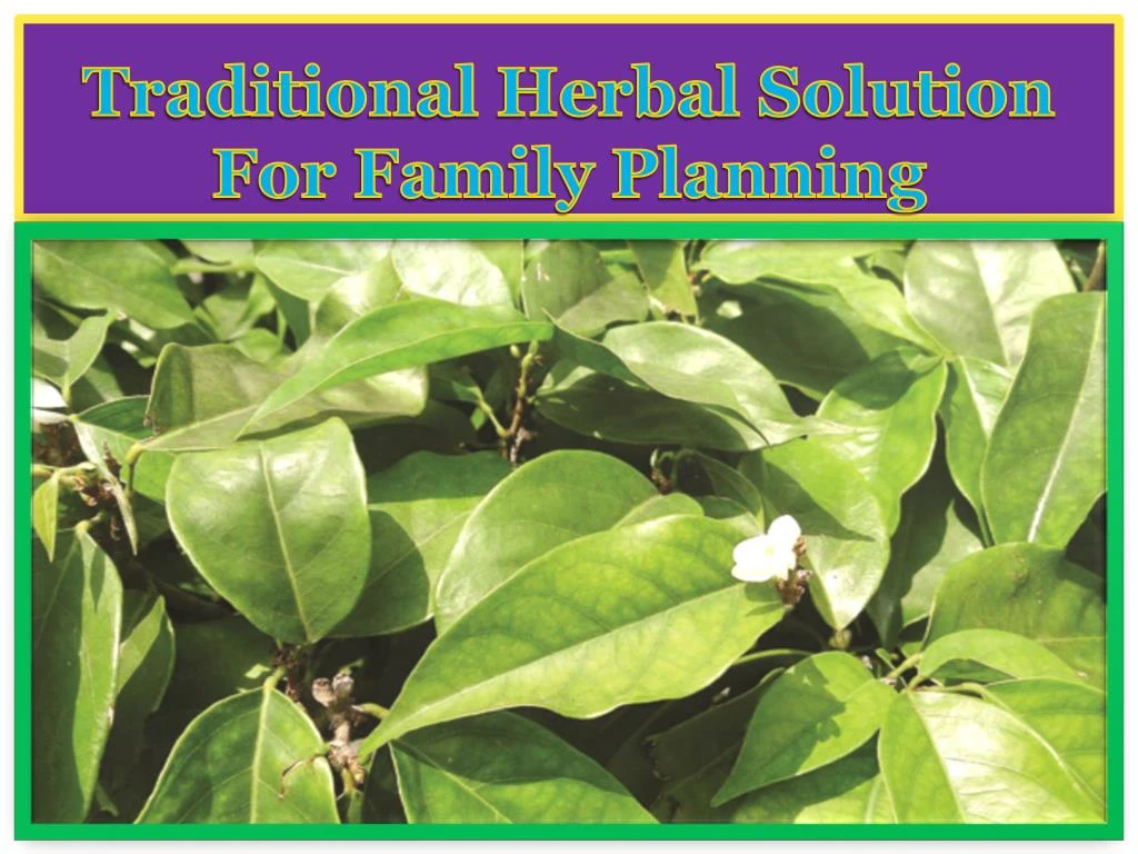 traditional herbal solution for family planning