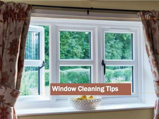 Window Cleaning