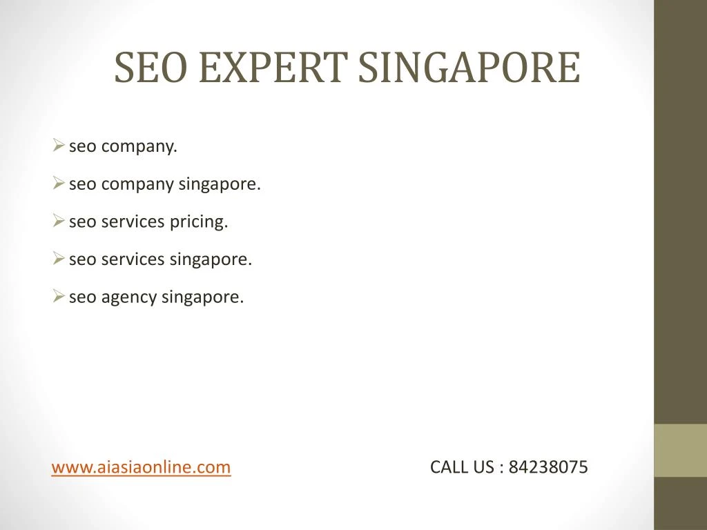 seo expert singapore