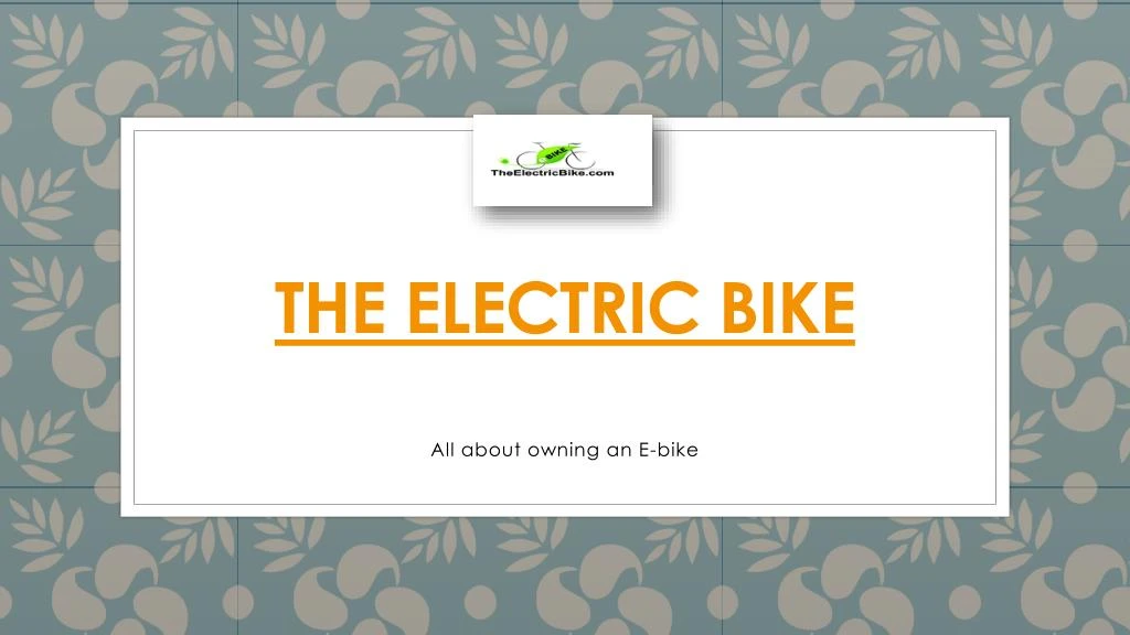 the electric bike