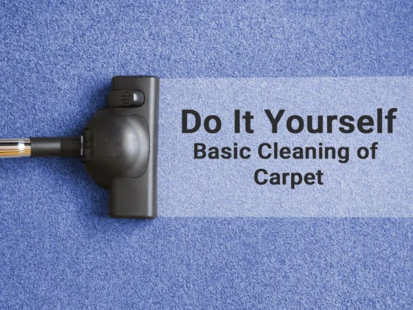 Do It Yourself basic cleaning of carpet