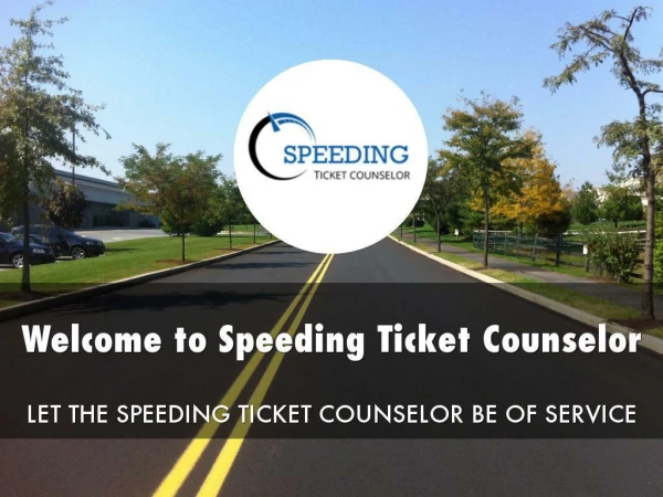 Information Presentation Of Speeding Ticket Counselor