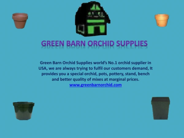 Buy Orchid Pot for Your Orchids at Affordable Prices