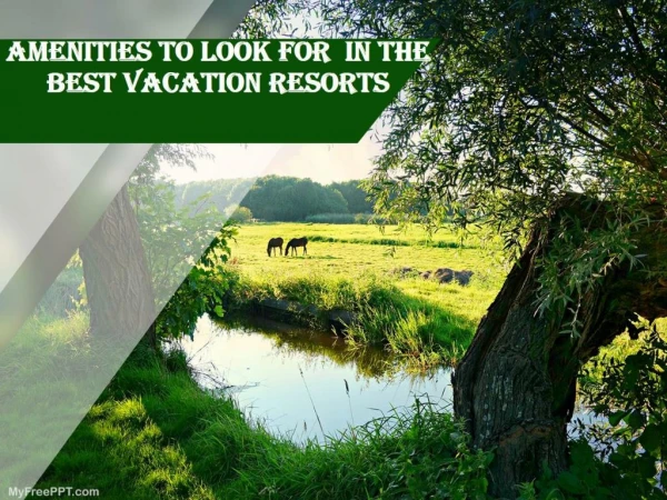 Amenities to Look For In the Best Vacation Resorts