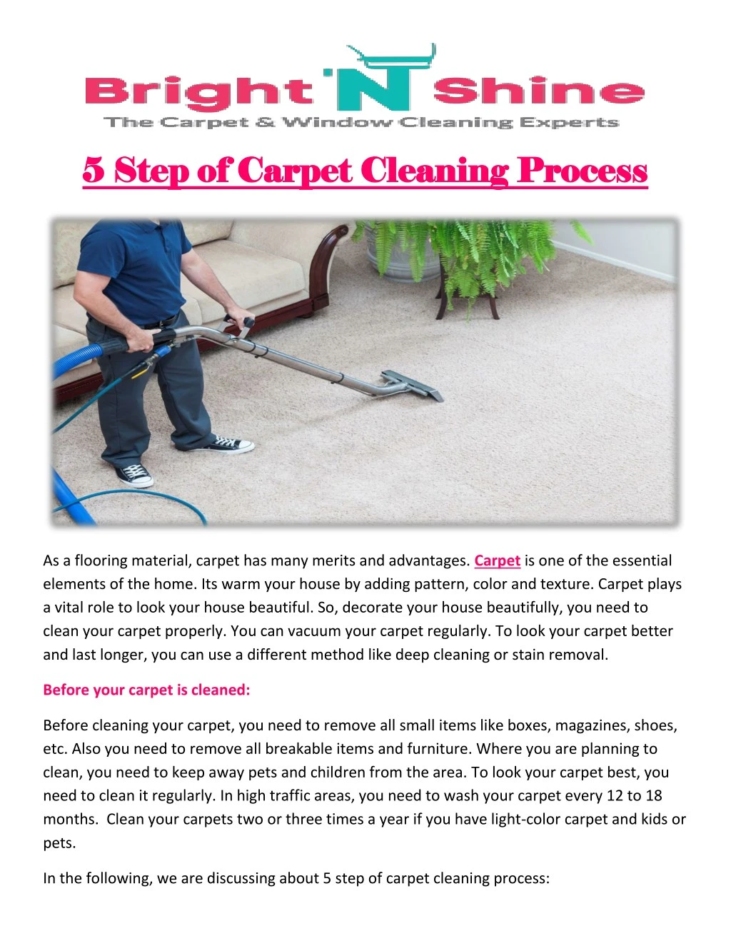 5 5 step of carpet cleaning process step