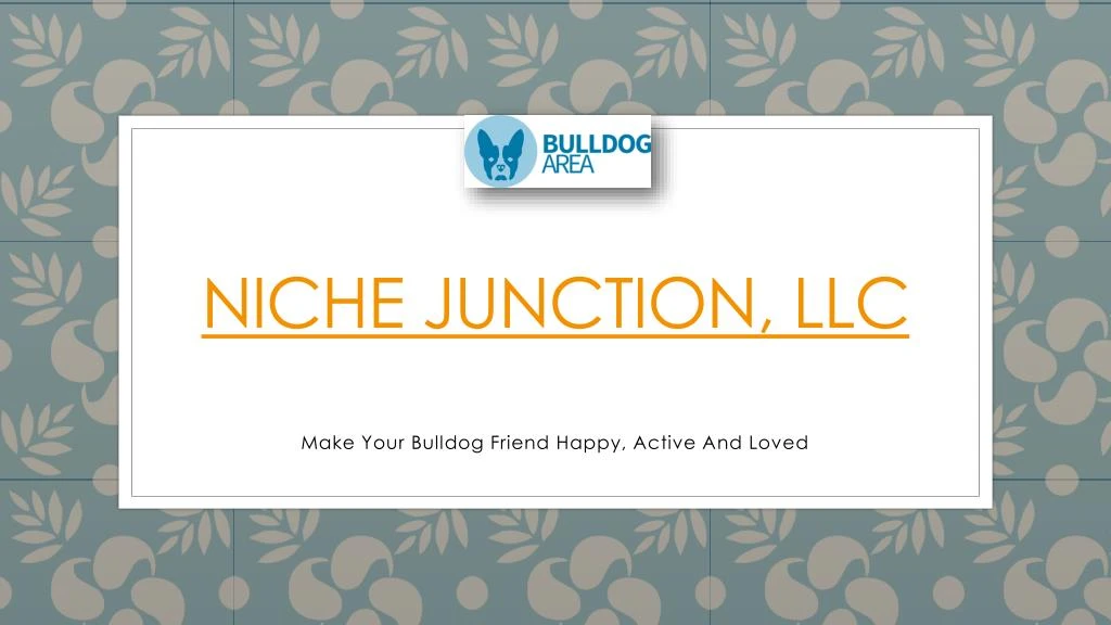 niche junction llc