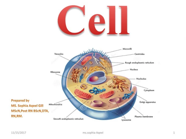 the Cell