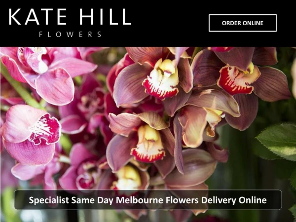 Specialist Same Day Melbourne Flowers Delivery Online