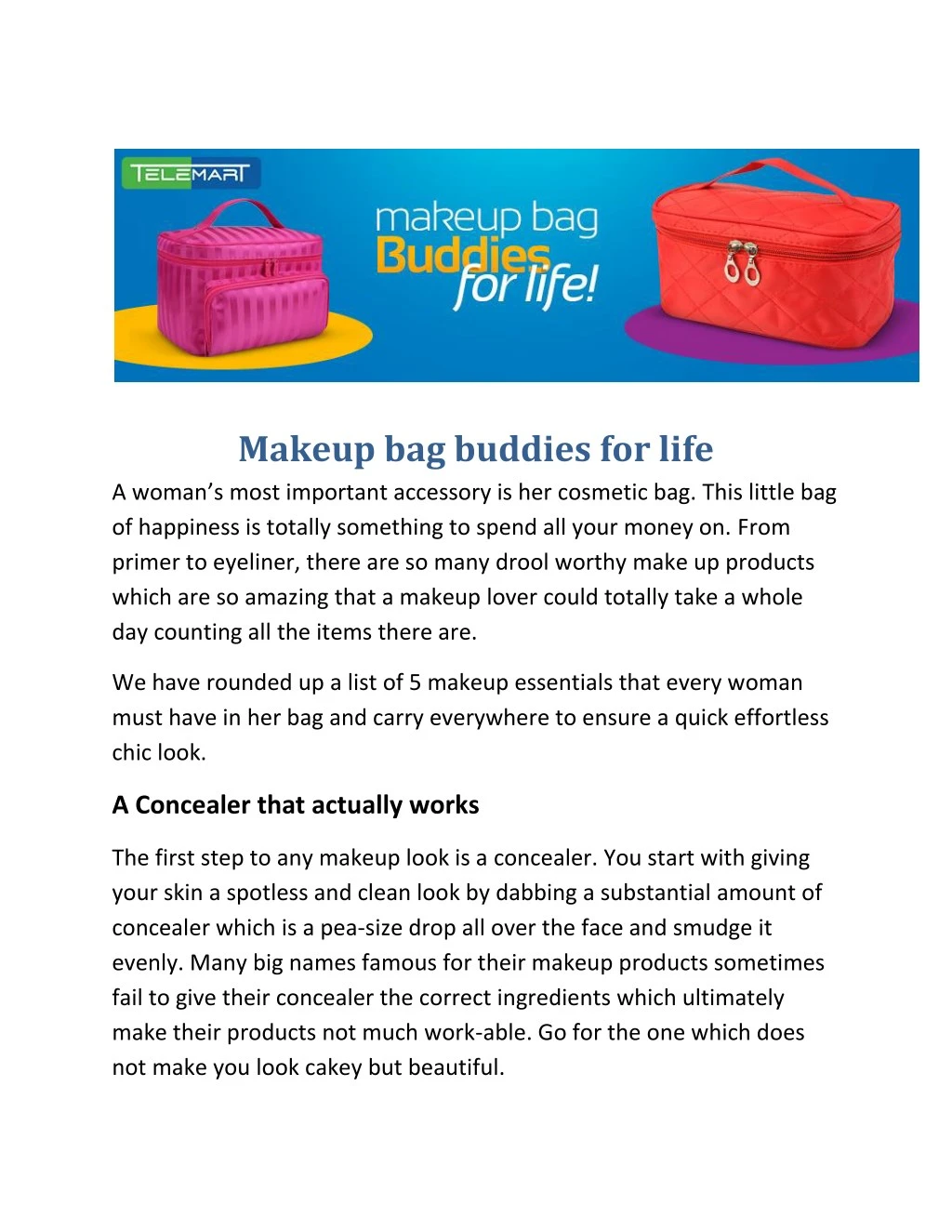 makeup bag buddies for life a woman s most