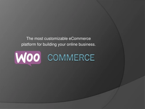 What do you think of WooCommerce Web Development?
