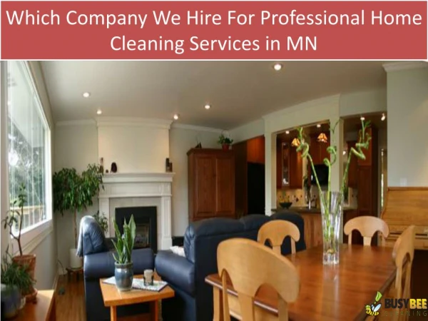 Which Company We Hire for Professional Home Cleaning