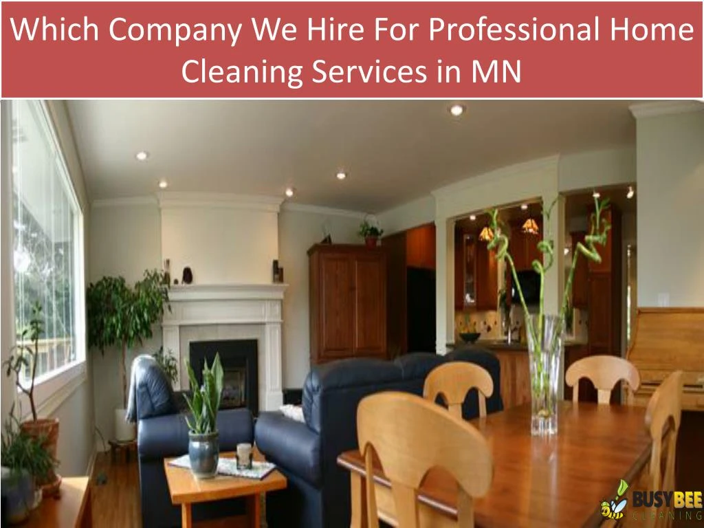 which company we hire for professional home cleaning services in mn